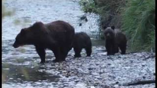 Tweedsmuir Park Lodge Bella Coola BC Canada [upl. by Yrrehs]