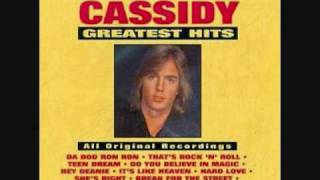 Shaun Cassidy Teen Dream [upl. by Hyrup]