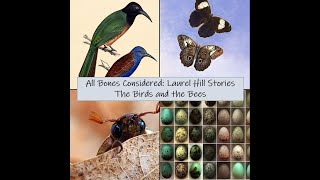 All Bones Considered Laurel Hill Stories  The Birds and the Bees Ornithologists and Entomologists [upl. by Anetsirk478]