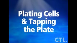 Plating Cells amp Tapping the Plate [upl. by Kellda]