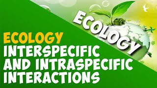 Interspecific and Intraspecific Interactions  Ecology amp Environment  Biology AddyESchool [upl. by Yarak]