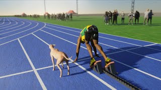 Usain Bolt VS Fastest Dog [upl. by Akerue]