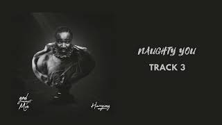 Harrysong  Naughty You Official Audio [upl. by Liag]