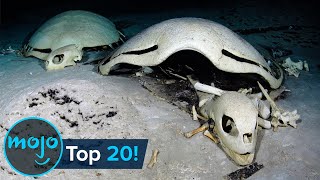 Top 20 Creepiest Things Found in the Ocean [upl. by Bethanne]