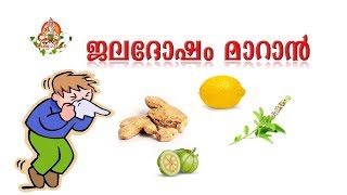 ജലദോഷം മാറാൻ JALADHOSHAM MAARAN  JALADOSHAM MAARAN MALAYALAM OTTAMOOLIKAL [upl. by Telford99]