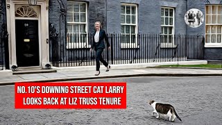 No10s Downing Street Cat Larry  looks back at the Liz Truss Tenure [upl. by Coryden]