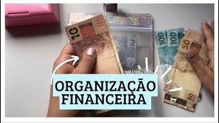 Organização financeira segundo pagamento de setembro  cash stuffing Budget Binder  PTBR [upl. by Nelo]