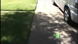 2 Pet Chihuahuas Attacked During Walk [upl. by Michelina]