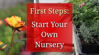 First Steps to Start a Plant Nursery [upl. by Eelanaj]