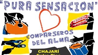 COMPARSA PURA SENSACION Chajarí [upl. by Kachine]