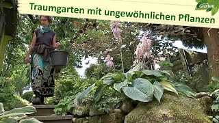 Ein Traumgarten voller ungewöhnlicher Pflanzen  MDR Garten [upl. by Anitserp609]