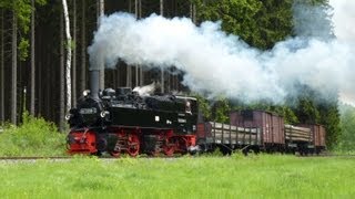 125 Jahre Schmalspurbahnen im Harz  Güterverkehr wie zu ReichsbahnZeiten [upl. by Dibbrun]