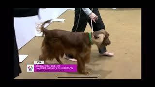 Ava’s Finals round run at the 2021 AKC National Agility Championship 032821 [upl. by Cai366]