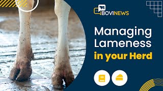 Webinar Managing Lameness in your Herd [upl. by Nimsaj106]