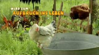 Die wilden Hühner und das Leben Trailer [upl. by Pachston739]