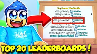 I GOT TOP 20 ON THE LEADERBOARDS IN PET SIMULATOR 99 [upl. by Kentigerma]