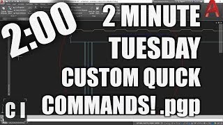 AutoCAD  How to Change Command Shortcuts pgp  2 Minute Tuesday [upl. by Drehcir]