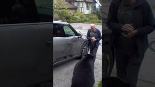 BC man has very close encounter with black bear [upl. by Rosalyn840]