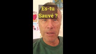 Es tu sauvé [upl. by Salman]