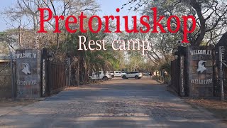 Kruger National Park Pretoriuskop Rest Camp [upl. by Somerville]