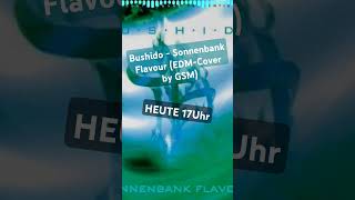 SEID DABEI BEI DER PREMIERE MEINES EDMCOVERS VON SONNENBANK FLAVOUR  HEUTE 17UHR [upl. by Ludwig144]