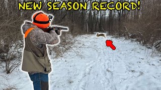 LATE Season Rabbit Hunting w Beagles NEW SEASON RECORD [upl. by Teragramyram]