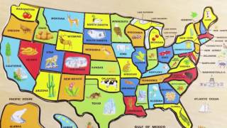 Electoral College explained [upl. by Koenraad526]