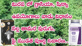 Gracia Insecticide Godrej Technical Telugu  shinwa insecticide telugu  gracia insecticide telugu [upl. by Leahcym]