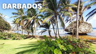 Experience the Island of Barbados  Visit 8 Beaches on Barbados  Things To Do in Barbados [upl. by Bixler]