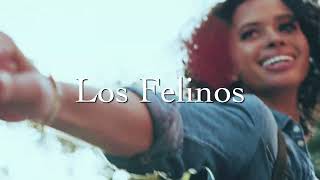 Los Felinos – Lápiz Labial Video Oficial [upl. by Goldie]