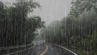 Lluvia Relajante Para Dormir en 2 Minutos  Sonido de Lluvia en el Bosque Brumoso  ASMR [upl. by Phelgen]