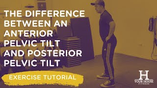 The Difference Between an Anterior Pelvic Tilt and Posterior Pelvic Tilt  Exercise Tutorial Series [upl. by Tepper]