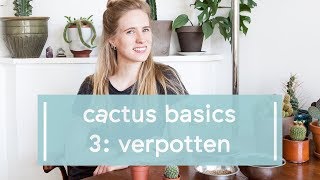 Cactus Basics Verpotten [upl. by Helms]