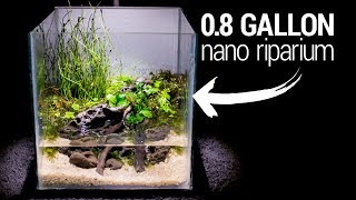 Making a 08 Gallon NANO RIPARIUM [upl. by Adner561]