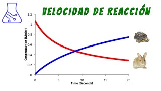 Temperatura y Velocidad de Reacción Química con Pastillas Efervescentes 🥵🥶 [upl. by Dymphia]