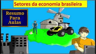 resumo para aulas  Setores da economia brasileira  Geografia BNCC [upl. by Soluk]