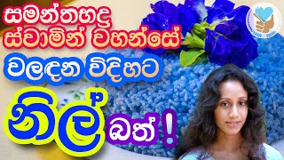 සමන්තභද්‍ර හිමි වලඳන විදිහට නිල් බත හදලා බලමු Butterfly Pea Rice [upl. by Clapper]