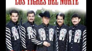 La puerta negra intro mix  Los tigres del norte efect mix D pAuLiN [upl. by Arraes]