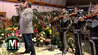 Beto Zapata  Eres mi primer amor Serenata a la Virgen de Guadalupe [upl. by Novahc]