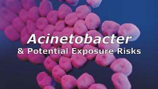 Acinetobacter and Potential Exposure Risks [upl. by Thalassa]