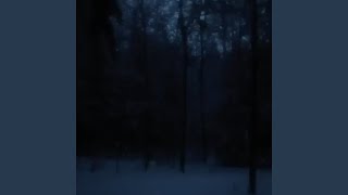 dark snowy night Slowed amp Reverb Version [upl. by Zinah]