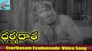 Evarikosam Evadunnadu Video song  Dharma Daata Movie  ANR Kanchana  MovieTimeCinema [upl. by Belloir]