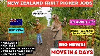 🇳🇿 New Zealand Fruit Picker amp Helper Jobs 2024  Move In 6 Days  New Zealand RSE Visa 🇳🇿 [upl. by Edana]