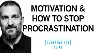 How to Stop Procrastination amp Increase Motivation  Dr Andrew Huberman [upl. by Ijok]