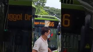 Bus 666 at Marina Bay [upl. by Neersan]