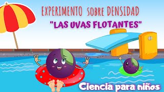 EXPERIMENTO DE DENSIDAD PARA NIÑOS LAS UVAS FLOTANTES 🍇 CIENCIA PARA NIÑOS 👧🏻👦🏽 [upl. by Cappello]