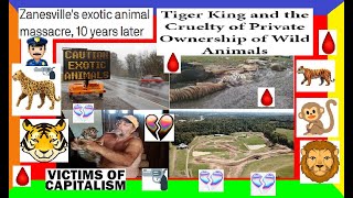 TRUE CRIME CASE PURE EVIL The Zanesville Animal Zoo Massacre 24 Hours Of TOTAL Chaos DEEPDIVE [upl. by Mirabella]