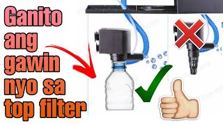 How to Setup Top Filter in Aquarium  Install Top Filter [upl. by Pesek]