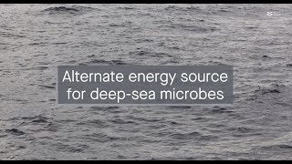 Thiosulfate An alternate energy source for deepsea microbes in the North Atlantic Ocean [upl. by Shanan]