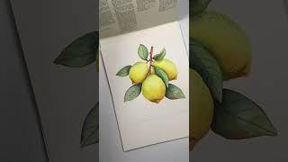 Aquarell Zitronen watercolor lemons aquarell malenlernen watercolor [upl. by Ayisan621]